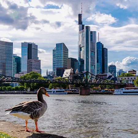マインガウ フランクフルト