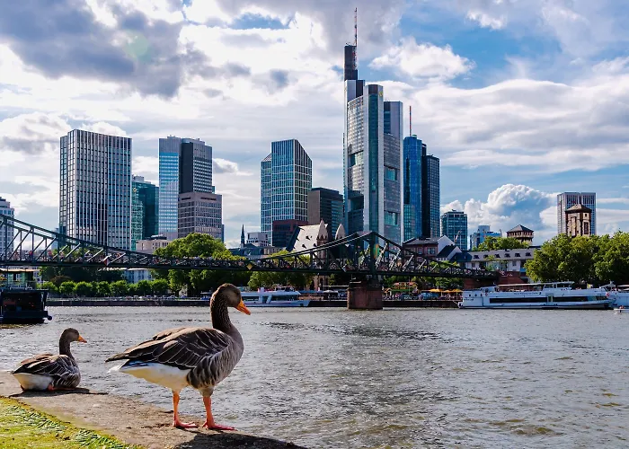 Maingau Frankfurt nad Menem