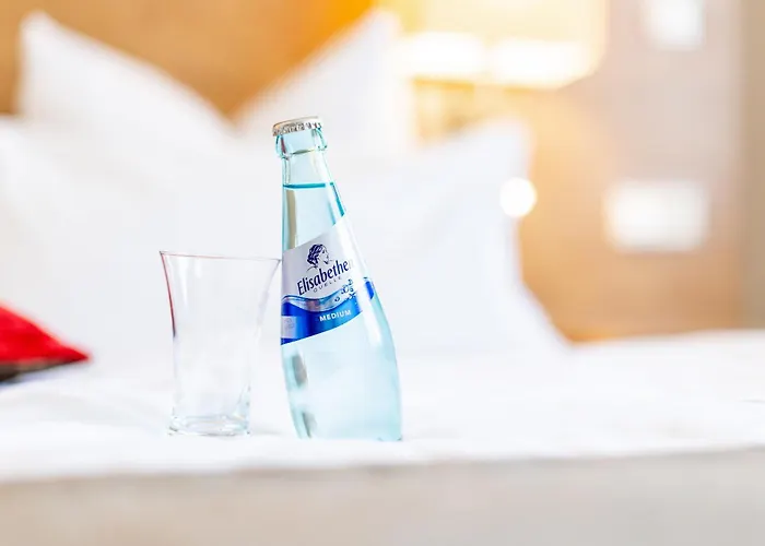 酒店 迈伽酒店 美因河畔法兰克福